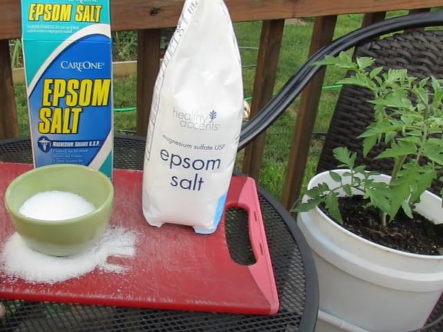 Epsom Salt Use Gardening