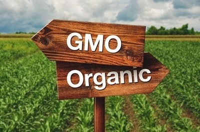 GMO Organic