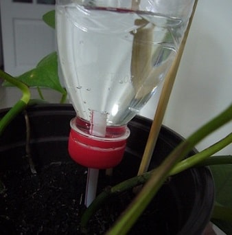 Homemade Watering System