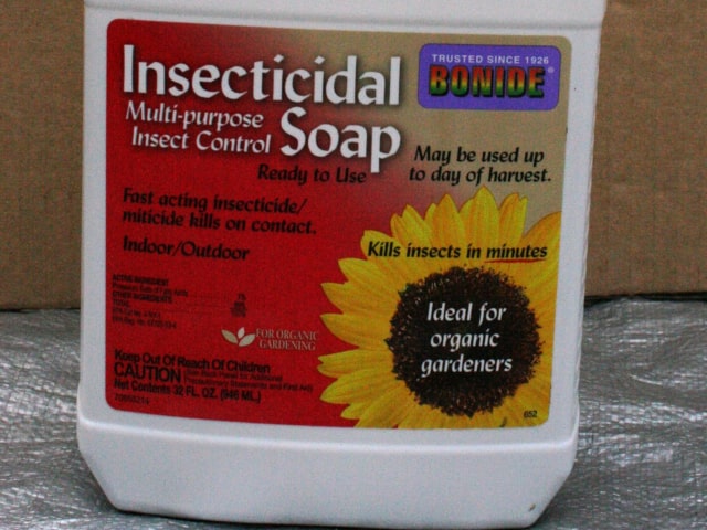 Insecticidal Soap