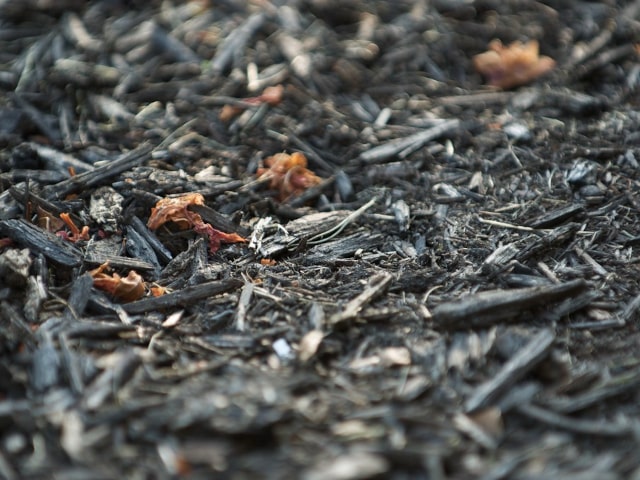 Mulching And Composting