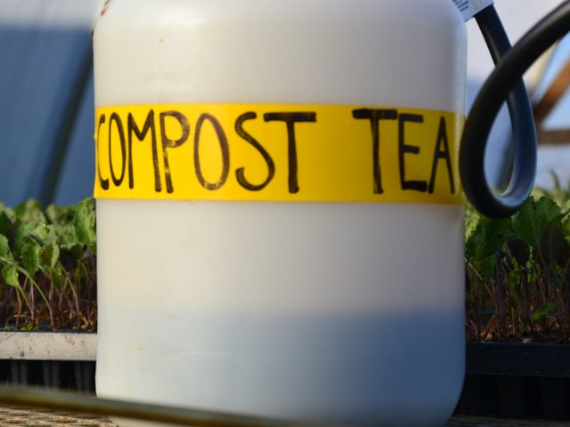 Organic Tea For Plants