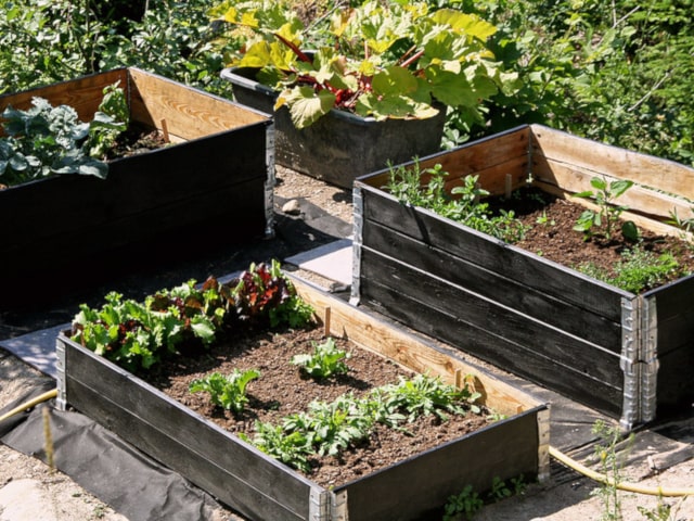 Raised Bed Using Pallets