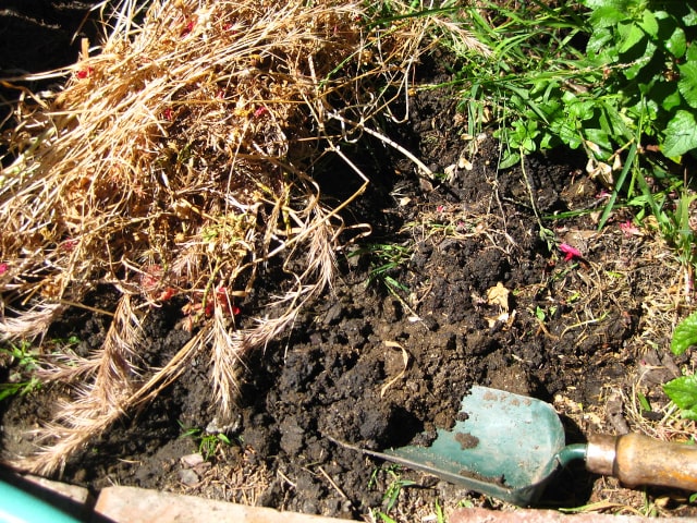 Soil Compost Mulch