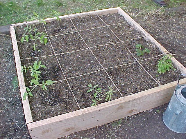 Square Foot Gardening Box