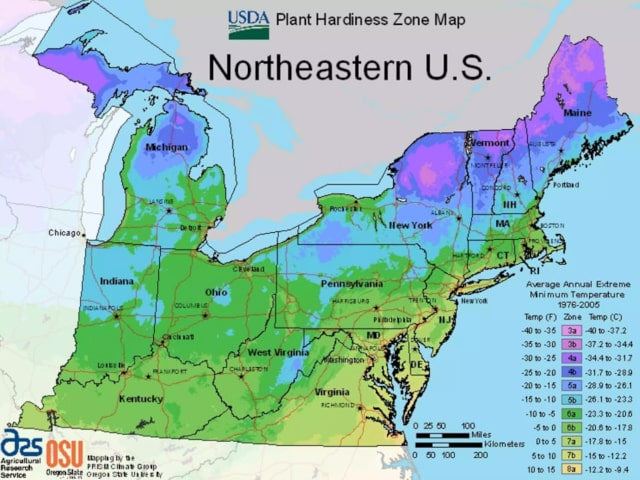 USDA Northeastern planting zones