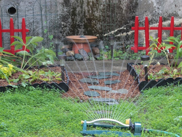 Watering Garden Plants